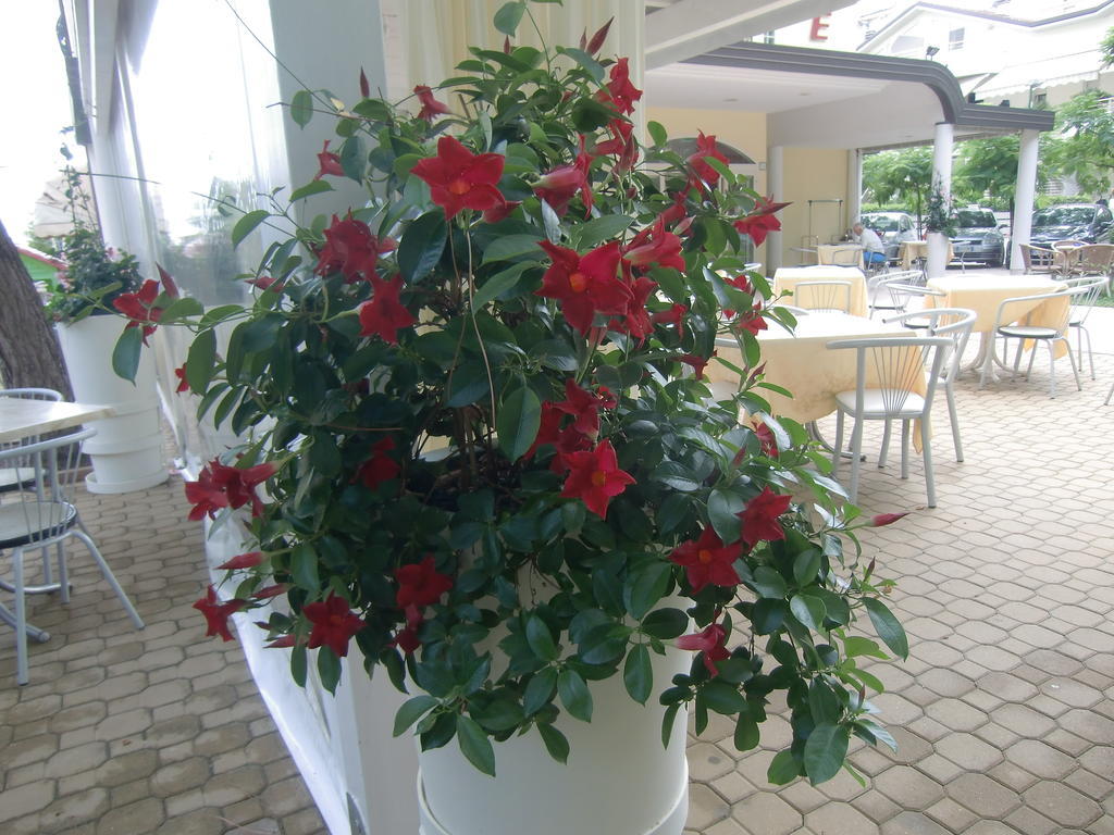 Hotel Explorer Cervia Exterior foto
